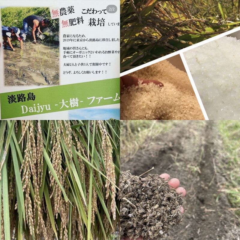 Daijyu‐大樹‐ファームの紹介