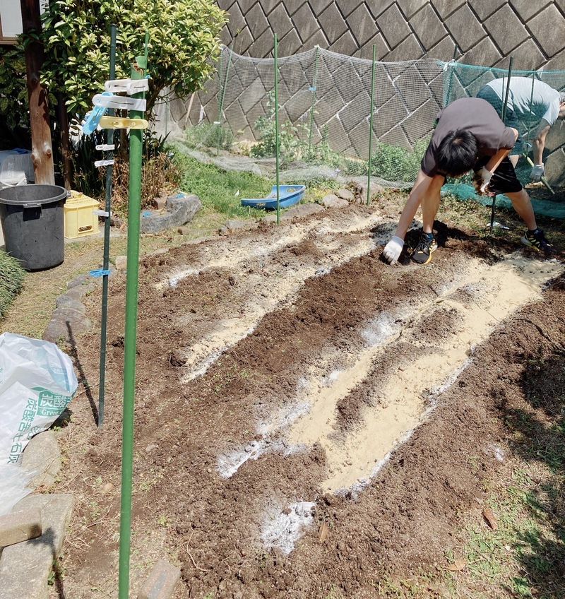 クースペースの草刈りした畑を耕し肥料を入れました。