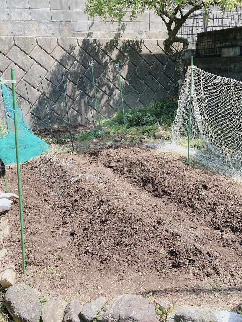 クースペースの畑の耕しが終わりました。